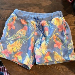 Chubbies tropical sweat shorts